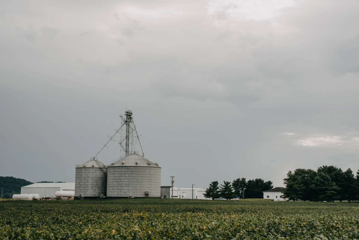 L'or vert : L'immobilier agricole et rural, un investissement d'avenir